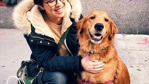 Foto: Anjing yang Gemar Peluk Orang di New York