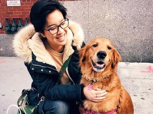 Foto: Anjing yang Gemar Peluk Orang di New York