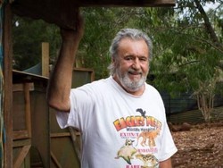 Ambil Ular di Rumah Tetangga, Pengasuh Satwa Liar Didenda Rp 45 Juta