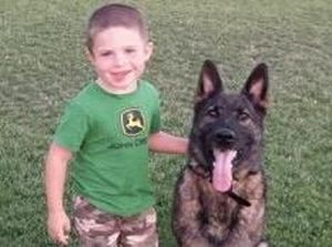 Hendak Diterbangkan ke AS, Anjing ini Malah Nyasar ke Jepang