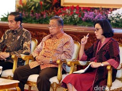 Jokowi Kumpulkan Menteri Ratas Konservasi Hayati