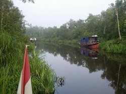 Berkeliling Lokasi Konservasi Orangutan Terbesar Dunia