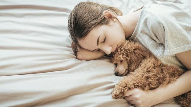 Jenis anjing kecil