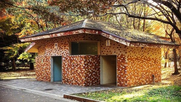 Foto: Kapan Toilet Umum Indonesia Sebagus di Jepang