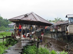 Curhat Sulit Dapat Air Bersih, Warga Asmat: Kita Tampung Air Hujan