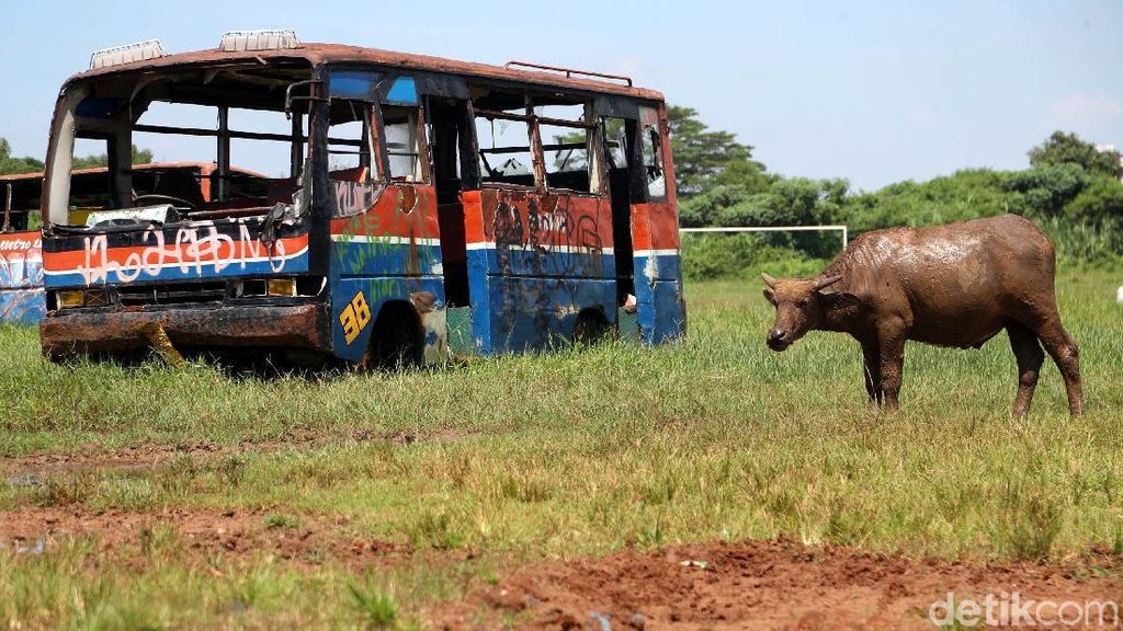 Potret Metromini di Ujung Jurang Eksistensi (2) Potret Metromini di Ujung Jurang Eksistensi (2)