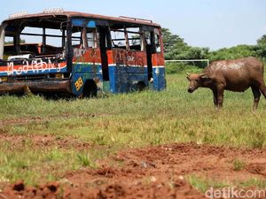 Potret Metromini di Ujung Jurang Eksistensi (2)