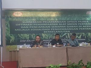 Strategi Kementan Jadikan Aceh Lumbung Pangan Nasional