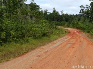 2.057 Km Jalan Trans Papua Belum Beraspal hingga 2019