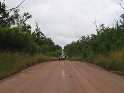 Basuki Ancam Putus Kontrak Kontraktor Jalan Trans Papua