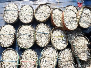 Cuaca Buruk, Pasokan Ikan di Pantura Subang Turun Sampai 60 Persen