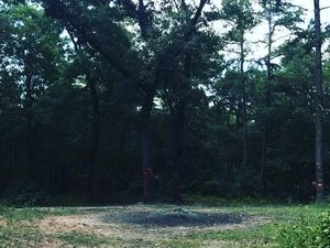 Foto: Hutan Ini Konon Tempat Setan Menari