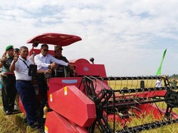 Panen 400 Hektar di Sambas Siap Penuhi Cadangan Beras Pemerintah