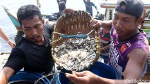 Geliat Nelayan di TPI Cilincing