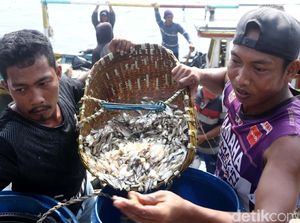 Geliat Nelayan di TPI Cilincing