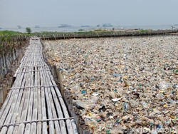 Ada Lautan Sampah, Air dan Ekosistem di Teluk Jakarta Tercemar