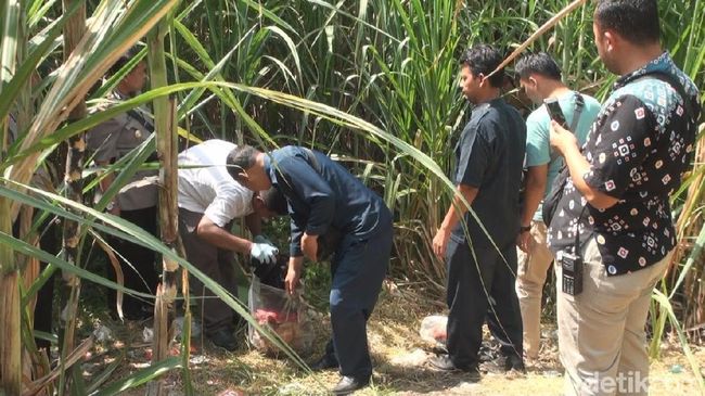 Pria Tewas Telanjang di Kebun Tebu Wakil Ketua DPC PPP 