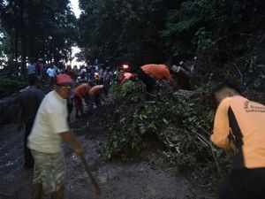 Tanah Longsor di Gunung Gumitir Dibersihkan, Arus Kembali Normal Tanah Longsor di Gunung Gumitir Dibersihkan, Arus Kembali Normal