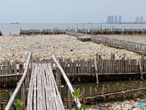 Lautan Sampah di Teluk Jakarta, dari Mana Asalnya?