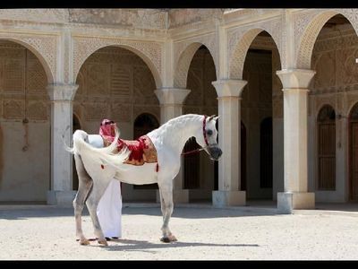 Foto: Hotel Mewah di Qatar... Tapi Untuk Kuda