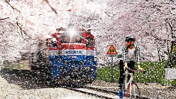 Karya Kocak Pakar Photoshop yang Wujudkan Semua Permintaan (II)