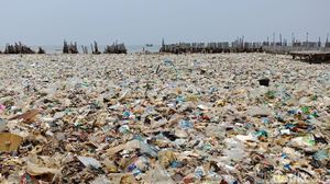 Before After Lautan Sampah Teluk Jakarta yang Sedang Dibersihkan