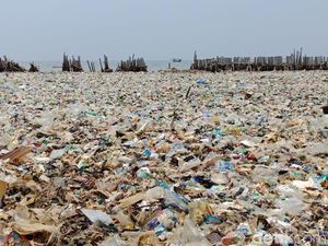 Before After Lautan Sampah Teluk Jakarta yang Sedang Dibersihkan Before After Lautan Sampah Teluk Jakarta yang Sedang Dibersihkan