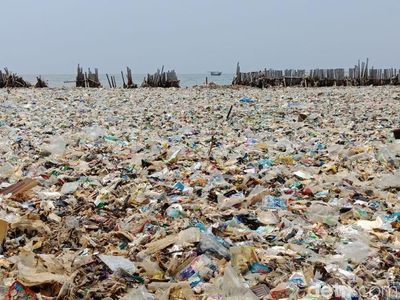 Before After Lautan Sampah Teluk Jakarta yang Sedang Dibersihkan