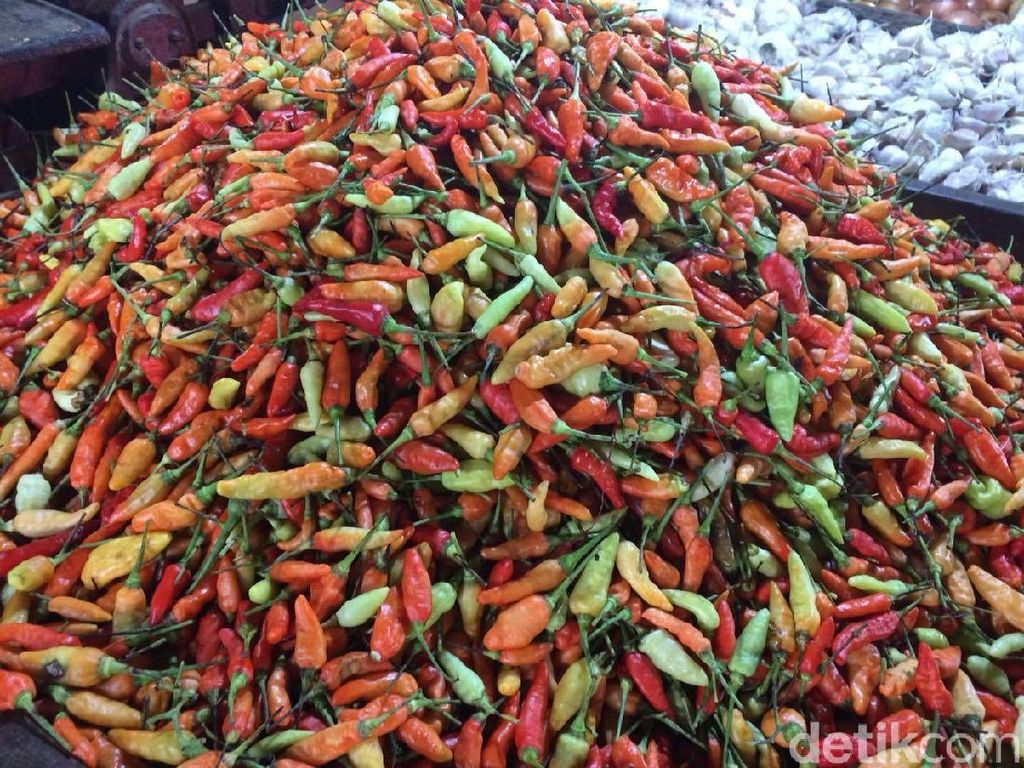 Harga Cabai Turun ke Rp 55.000/Kg, Pedagang: Masih Tinggi Harga Cabai Turun ke Rp 55.000/Kg, Pedagang: Masih Tinggi