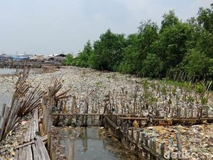 Jorok! Sampah Rumah Tangga Menumpuk di Kawasan Teluk Jakarta