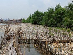 Jorok! Sampah Rumah Tangga Menumpuk di Kawasan Teluk Jakarta