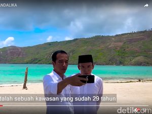 Yakin TGB Angkat Suara Jokowi di NTB, Ngabalin: Dia Opinion Leader