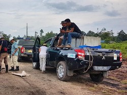 Ke Mana Harimau Bonita?