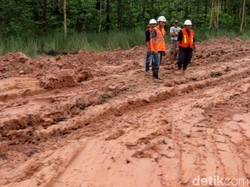 Dear Pak Jokowi, Jalan Trans Papua Rusak Nih