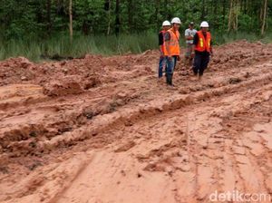 Dear Pak Jokowi, Jalan Trans Papua Rusak Nih Dear Pak Jokowi, Jalan Trans Papua Rusak Nih