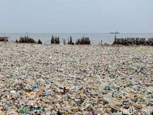 Dinas Lingkungan Hidup DKI akan Bersihkan Lautan Sampah Besok