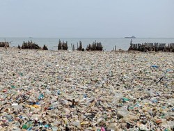 Dinas Lingkungan Hidup DKI akan Bersihkan Lautan Sampah Besok