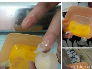 Peternak Ayam Bisa Merugi Gara-gara Isu Telur Palsu