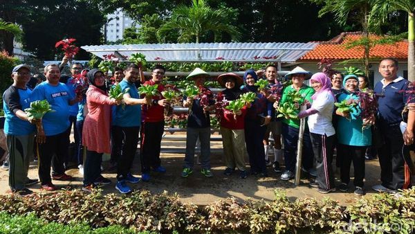 Kemendes Panen Tanaman Hidroponik
