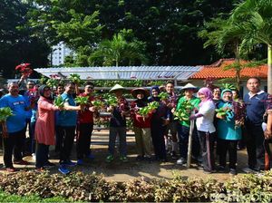 Kemendes Panen Tanaman Hidroponik