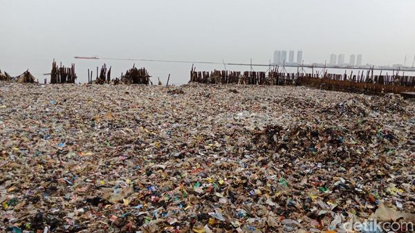 Kondisi Terkini Setelah 16 Ton Sampah di Teluk Jakarta Diangkut