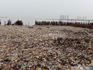Kondisi Terkini Setelah 16 Ton Sampah di Teluk Jakarta Diangkut Kondisi Terkini Setelah 16 Ton Sampah di Teluk Jakarta Diangkut