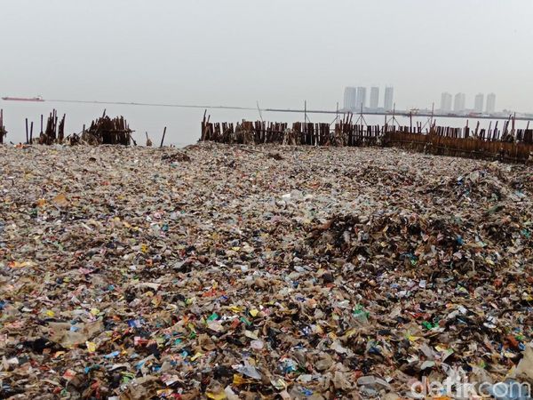 Kondisi Terkini Setelah 16 Ton Sampah di Teluk Jakarta Diangkut