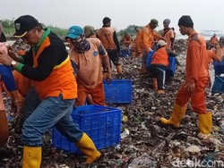 Faktor Cuaca dan Ombak Jadi Kendala Angkat Sampah Teluk Jakarta