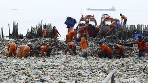 Pasukan Oranye Gotong Royong Bersihkan Lautan Sampah
