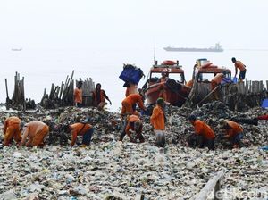 Pasukan Oranye Gotong Royong Bersihkan Lautan Sampah Pasukan Oranye Gotong Royong Bersihkan Lautan Sampah