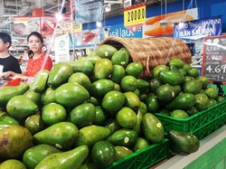 Segar Setiap Hari Berawal dari Kebiasaan Makan yang Baik