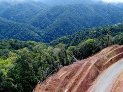 Ini Rencana Pemerintah Bangun Papua