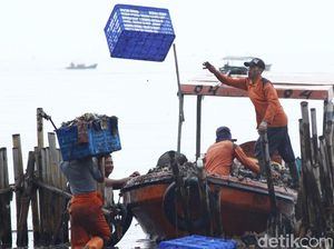 Angkut 16 Ton Sampah, Pembersihan Teluk Jakarta Dilanjut Besok Angkut 16 Ton Sampah, Pembersihan Teluk Jakarta Dilanjut Besok