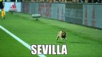 Meme-meme Lucu Undian Perempatfinal Liga Champions